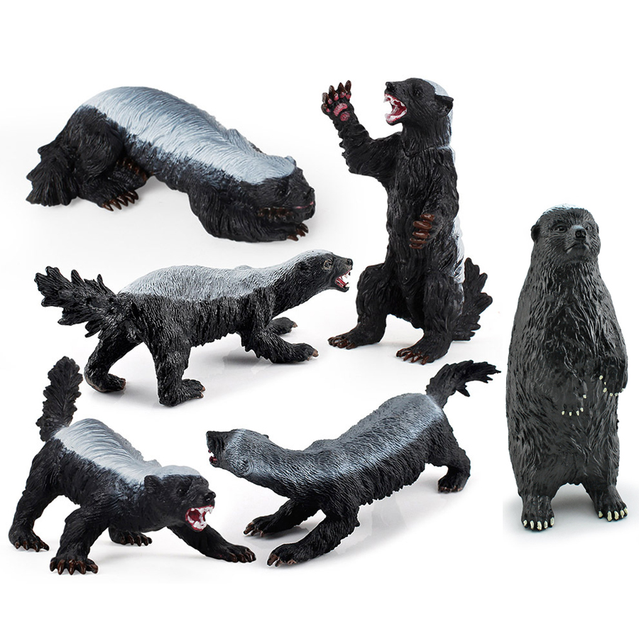 Kids Educational Device - Realistic Honey Badger Model Simulation Wild