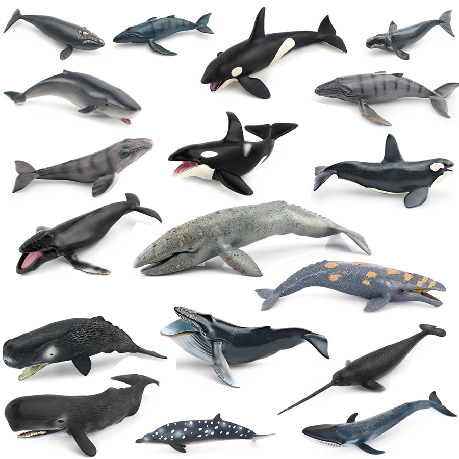 Kids Educational Device - Realistic Humpback Whale Sperm Whale Narwhal