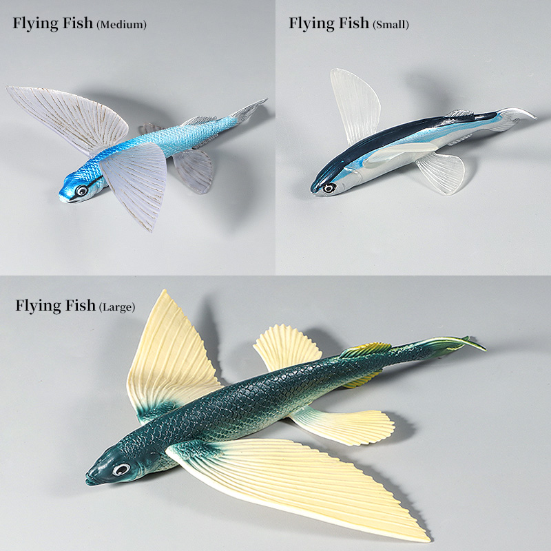 Kids Education World - Ocean Marine Animal Underwater World Flying