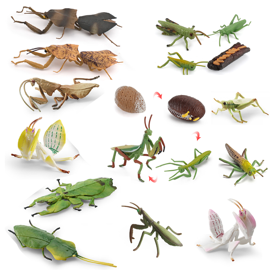 Kids Educational Device - Realistic Orchid Mantis Dead Leaf Mantis