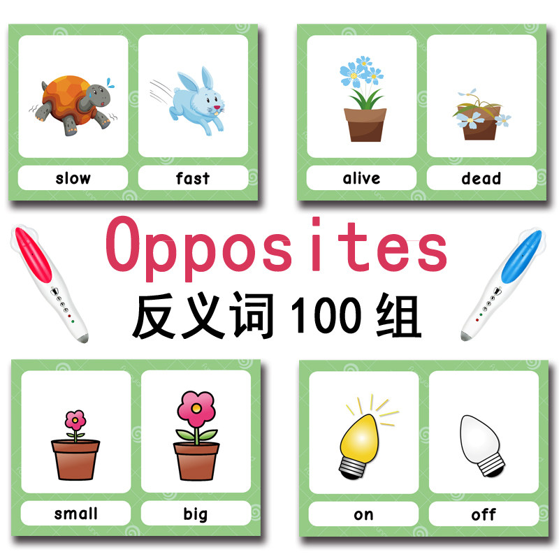 The 100 Groups Opposites Flash - Kids Educational Device recension och pris