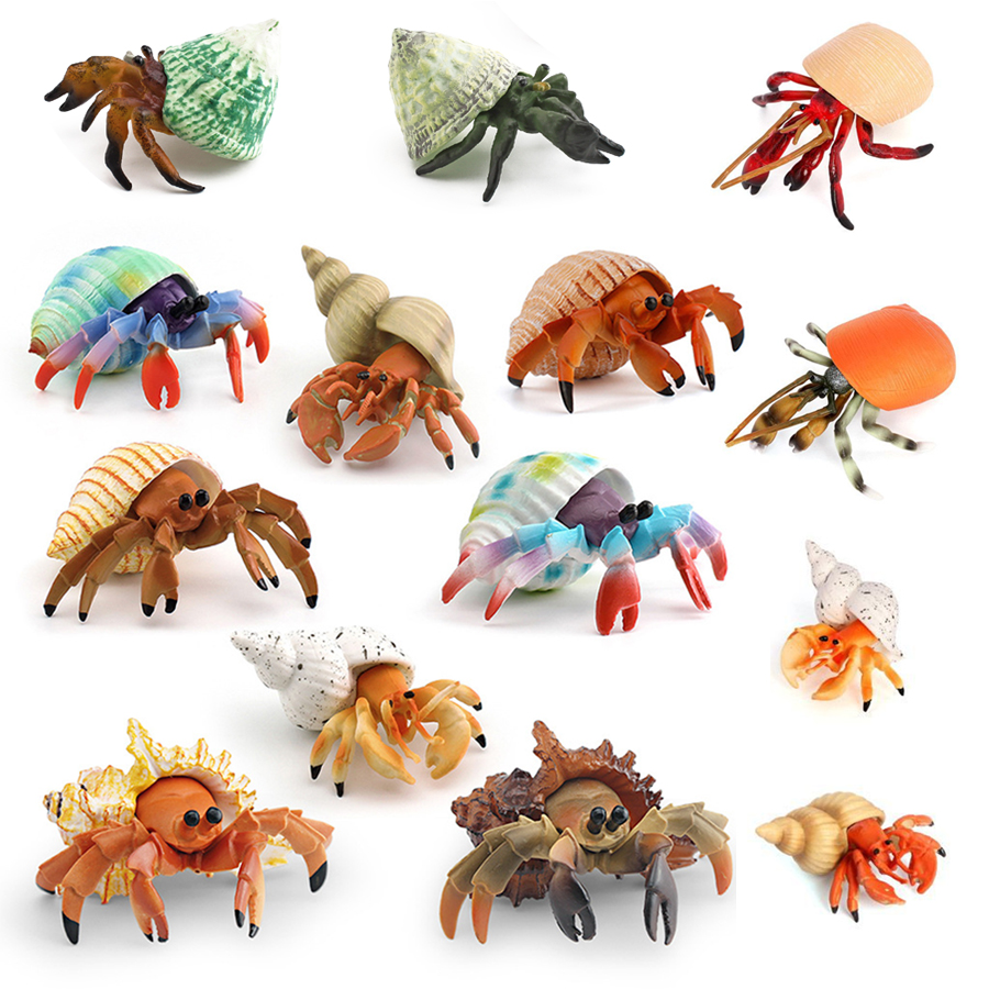 Realistic Hermit Crab Figurine - Kids Educational Device recension och pris