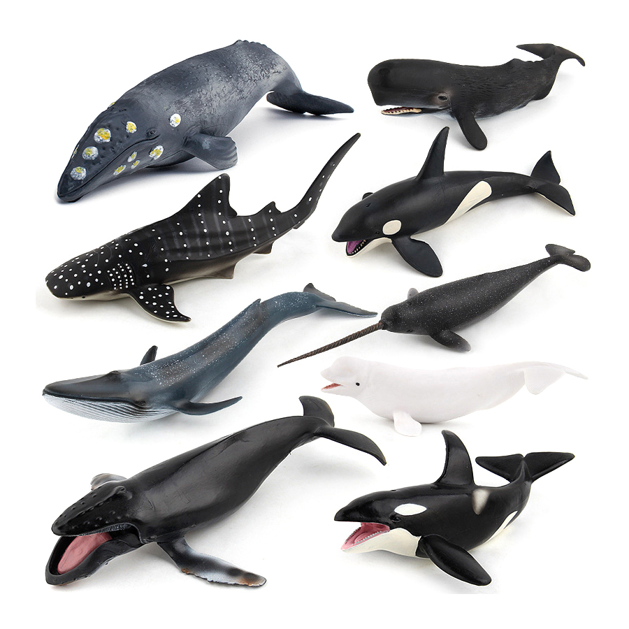 Realistic Humpback Whale Sperm - Kids Educational Device recension och pris