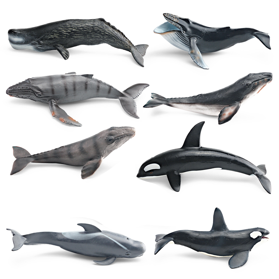 Realistic Humpback Whale Sperm - Kids Educational Device recension och pris