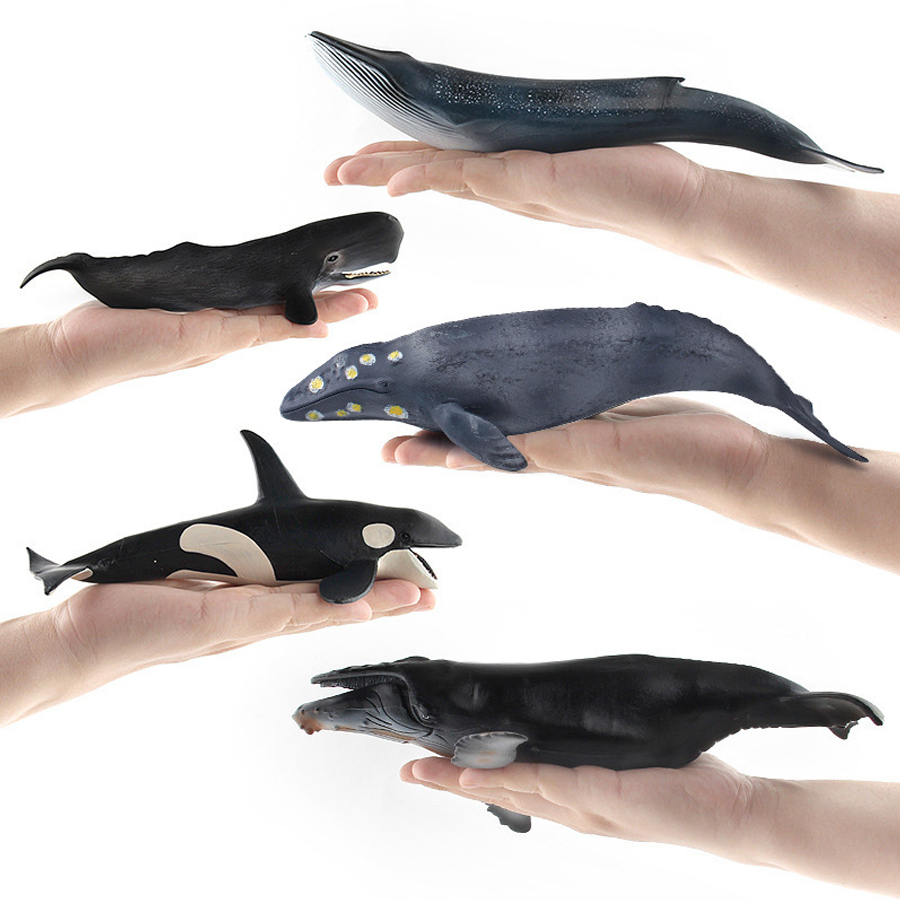 Realistic Humpback Whale Sperm - Kids Educational Device recension och pris