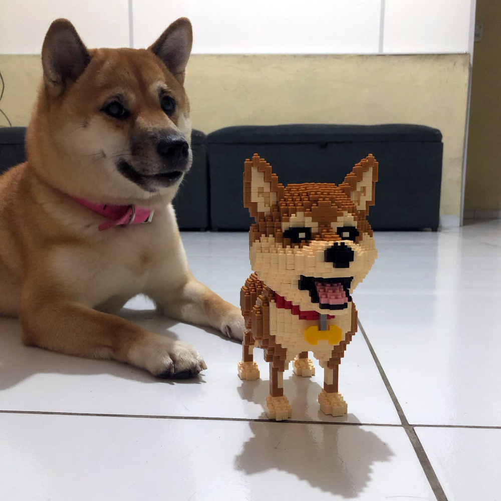 KNEW BUILT Shiba Inu Dogs Mode - Kids Education And Recreation recension och pris