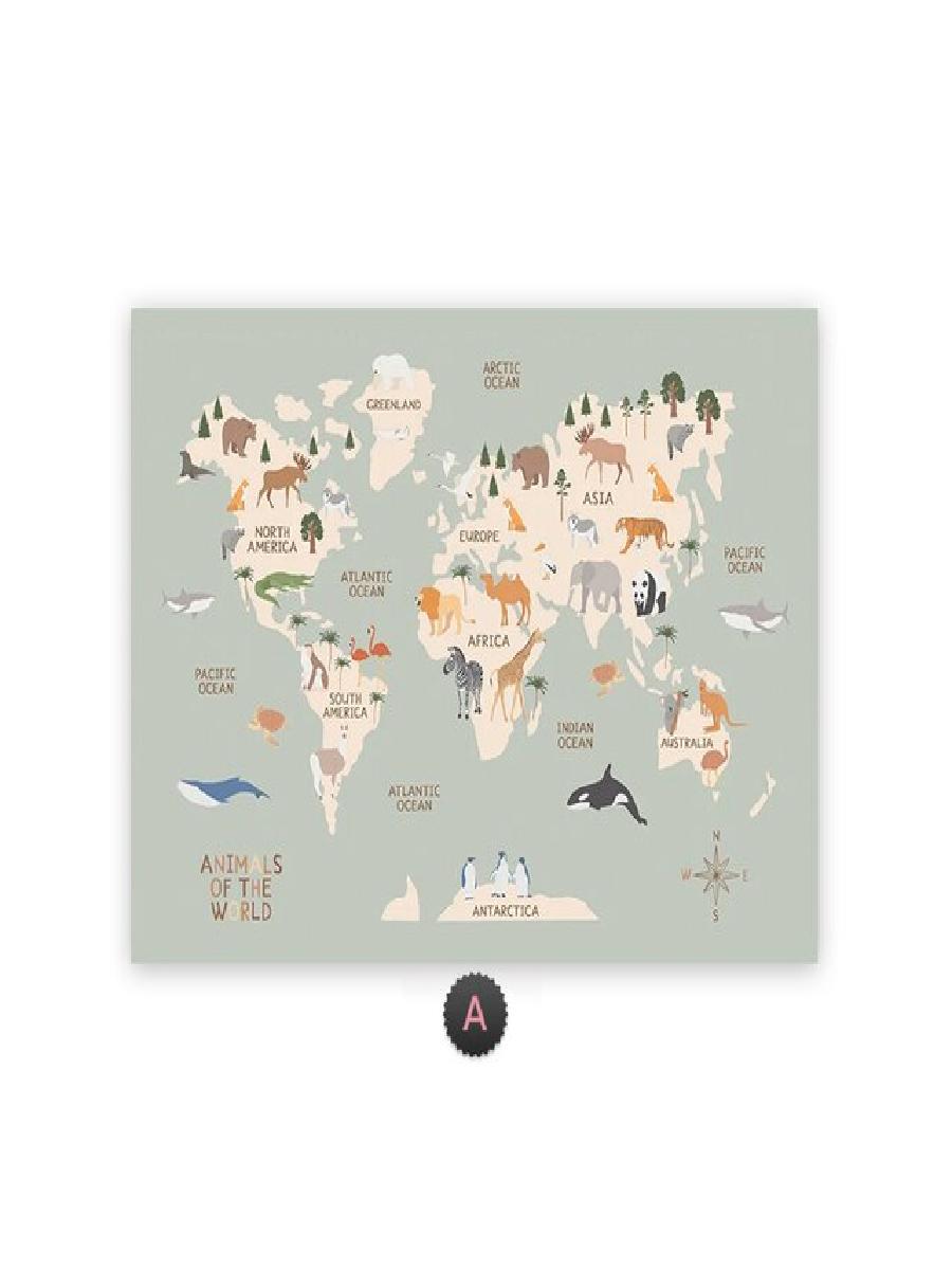 Educational Cartoon Animal Wor - Kids Education World recension och pris