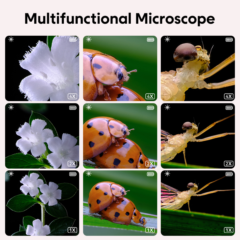 Mini Kids Optical Microscope W - Kids Education World recension och pris