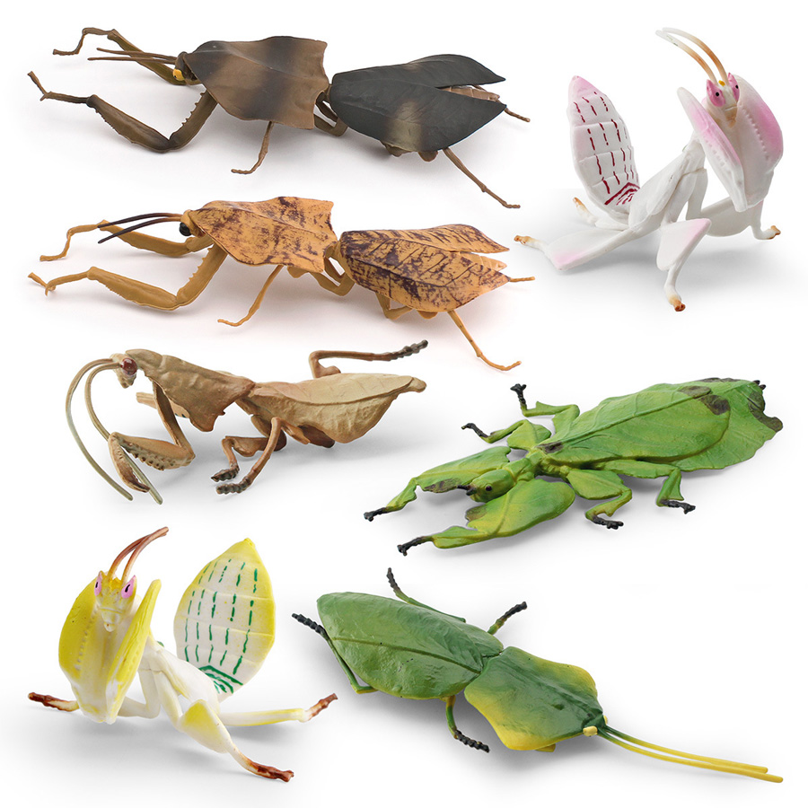 Realistic Orchid Mantis Dead L - Kids Educational Device recension och pris