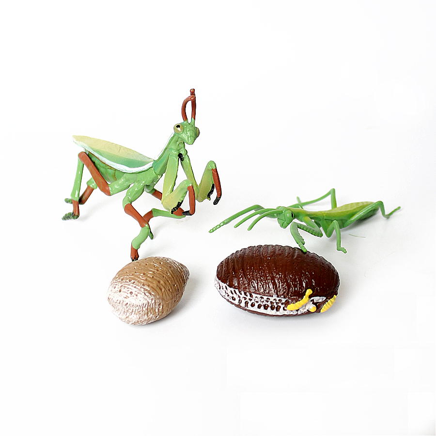 Realistic Orchid Mantis Dead L - Kids Educational Device recension och pris